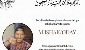 IMG-20241226-WA0052(1)